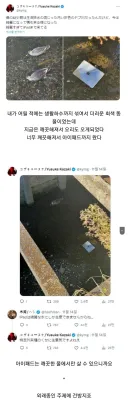 동네 하천이 깨끗해지자 생긴 변화 jpg.