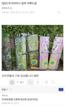 새로운 이세계 전생 메타.jpg