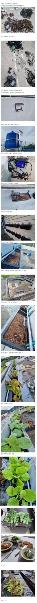 코인 채굴 노예들의 말로