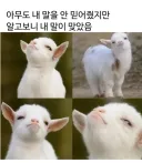커뮤에서 선동이 휩쓸고 갔을때 특징.jpg