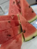 회사 복지 근황