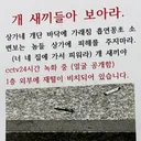 계단에 담배 버린 사람들에게 쓴 글