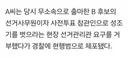 성조기 몸에 두르고 투표 참관