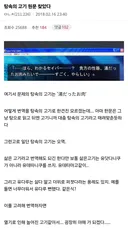 페이트)'탕속의 고기' 원문