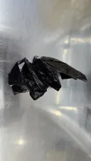 개 키우면 자연발생 하는거