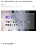 노벨피아 AI챗 근황