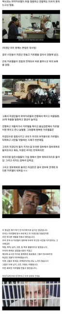 카르텔에 대항해 시민들을 지키려고 싸우던 멕시코 농민들의 최후