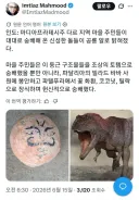 인도 모 지역에서 신성시되던 돌, 알고보니...