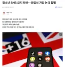 청소년 SNS 금지 확산…유럽서 가장 논의 활발