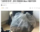 영국 가정집에서 잡힌 쥐 크기 수준.JPG