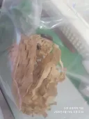 우리 도마뱀 특식 사왔다