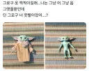 그로구의 정체