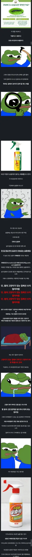 러브 버그 셀프 방역법