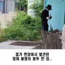 치매 아버지의 잃어버린 돈과 편지 찾아준 어느 의인