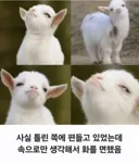 커뮤에서 선동이 휩쓸고 갔는데 다행인 순간.jpg