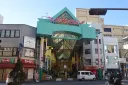 곰) 우쓰노미야 최대 번화가에서 술 마시다 곰 직관한 일본인