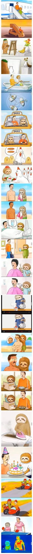 조금 느린 나무늘보씨