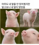 ai) 아무도 내 말을 안 믿어줬지만 알고보니 내 말이 맞았음