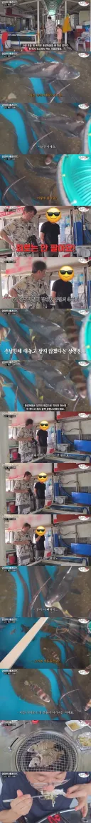 손님한테 회 안판다는 수산시장 상인