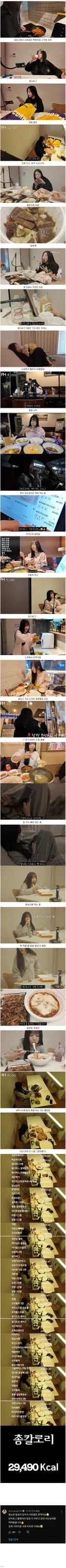 쯔양이 가아끔 식욕 터지면 하루에 먹는 양.jpg