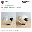 호불호 갈리는 핸드메이드 밥그릇