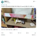 버튜버) 큰일을 해낸 스바루