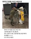 최악의 직장을 5년간 버틴 이유.