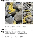 하천에 몰래 버린 노란 스폰지
