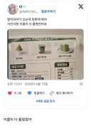 성의없는 말차 파우더 활용 레시피