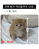 화가 머리 끝까지 났네!