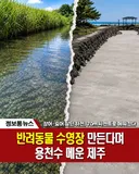 시멘트를 부어 반려동물 수영장을 만들었다는 제주 하천 공사 전후 모습.jpg