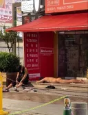 도바킨이 산적 파밍하고 지나간 현장.jpg