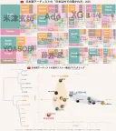 일본에서 분석한 JPOP 아티스트 해외비중