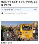요즘 태권도 근황