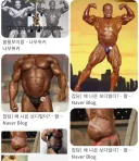 헬스 초보 특
