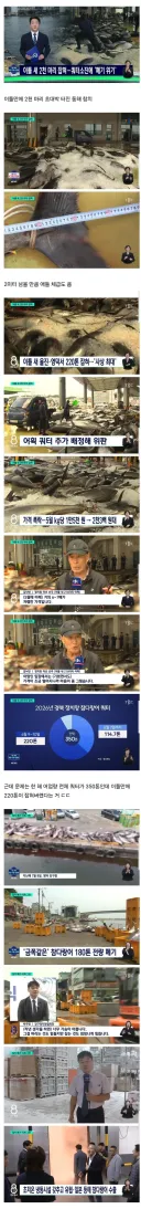 이제 참치 김치가 나오는 건가?