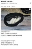 K-던전밥.jpg