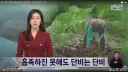가뭄에 비올때 취재에 적합한 기자
