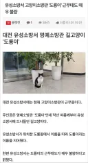 근무태도 불량으로 논란인 소방관