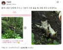 엄청난걸 찍어버린 일본 할머니