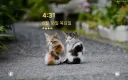지금 충전기 살까