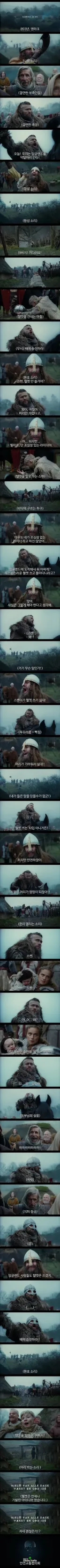 용맹한 바이킹들의 필수품