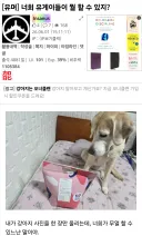 존나 아팠던 카운터.jpeg