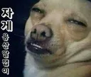 붓으로 게시물 쓴다는분¿  +_+;;;