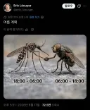 여름 계획.jpg