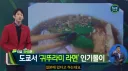 일본 귀뚜라미 라면집 정말로 인기 있나 궁금해서 별점 찾아봄.jpg