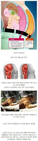인간이 가진 S급 능력