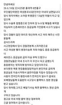 홍대 무단횡단 사고 (영상 주의)
