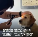 어지간한 커뮤 유저들 보다 나은 것