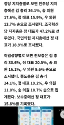 오늘 발표된 차기 당대표 조사